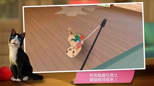 咪咪猫舍手游下载