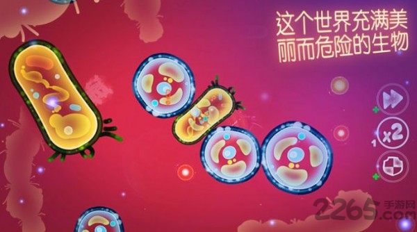细菌模拟生存官方版下载