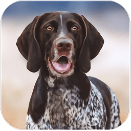 狂犬模拟器完整版
