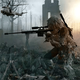 布拉沃狙击手中文版