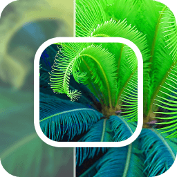 数创模糊照片修复app